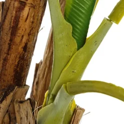 Agex