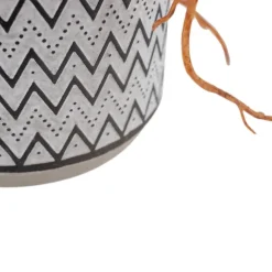 Basy