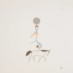 Cirque