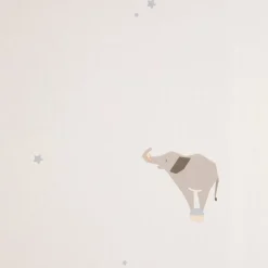 Cirque