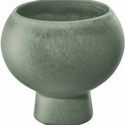Cova
