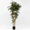Dary