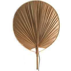 Kajas