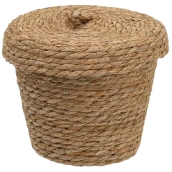 Kokas