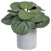 Lampe