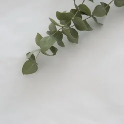 Linen