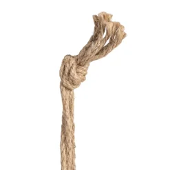 Nagas