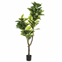 Pell
