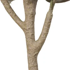 Xatus